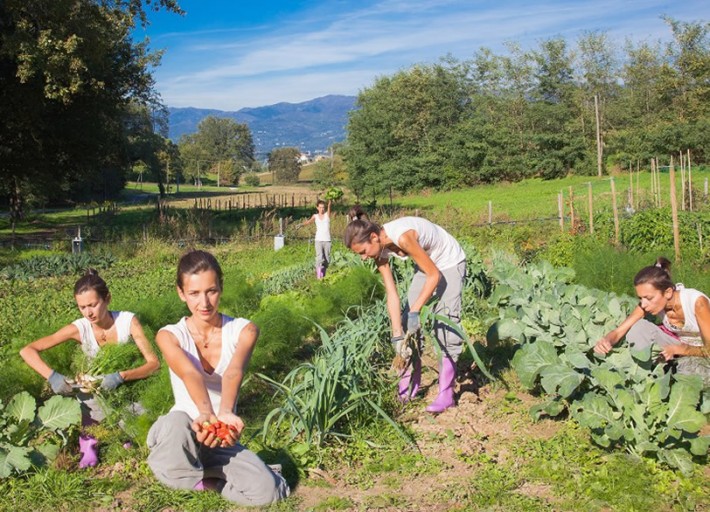 Regione Toscana: aiuti all'avviamento di imprese per giovani agricoltori