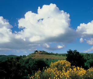 The view of Chianti Hills