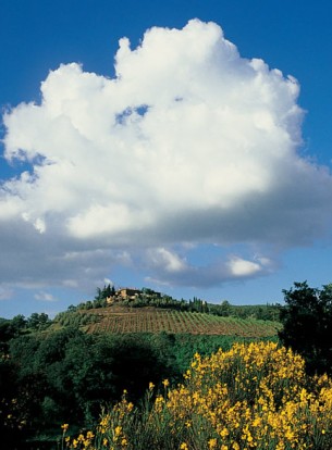 The view of Chianti Hills