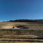 cantinantinori_24