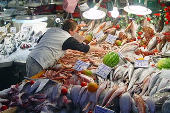 La pesca in Toscana affonda, aumenta il pesce non italiano