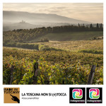 FATTORIA PETRIOLO a Rignano sull’Arno