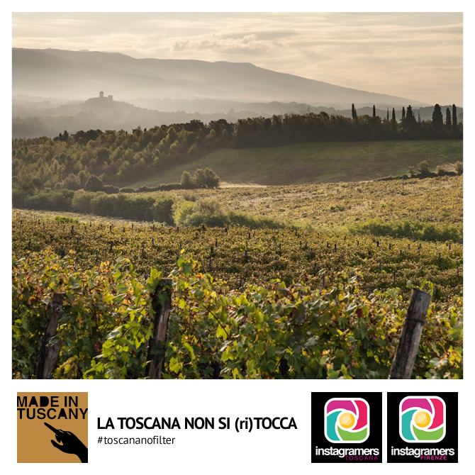 FATTORIA PETRIOLO a Rignano sull’Arno