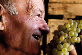 Il vino vale il 36% dell’export made in Tuscany
